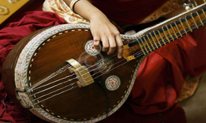 elgroupindia
